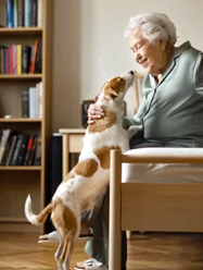 An elderly woman is holding a small dog in her bedroom. AI generated content